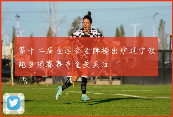 第十二届全运会金牌榜出炉辽宁领跑多项赛事夺金受关注