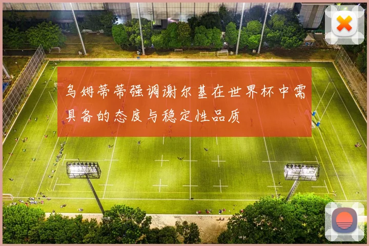 乌姆蒂蒂强调谢尔基在世界杯中需具备的态度与稳定性品质