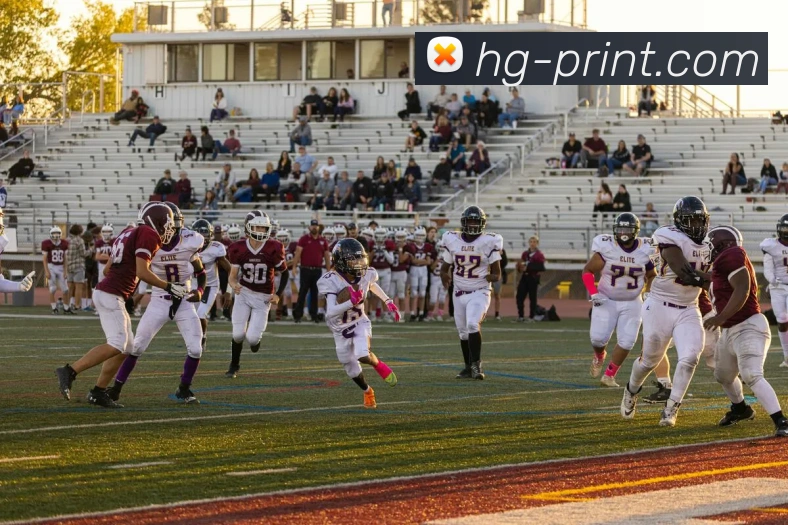 九游网站平台生态图